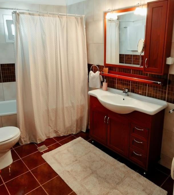 Evaggelia'S Apartments 5 Οικογενειακό Διαμέρισμα Kozani Exteriér fotografie